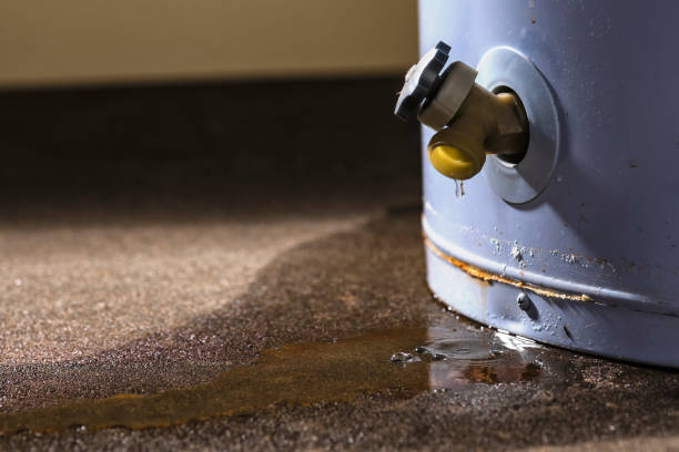 Best Water damage contractors near me  in Heathcote, NJ