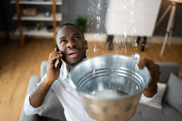 Best Professional water damage repair  in Heathcote, NJ