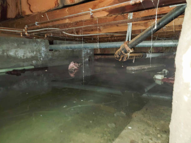 Best Emergency water damage restoration  in Heathcote, NJ