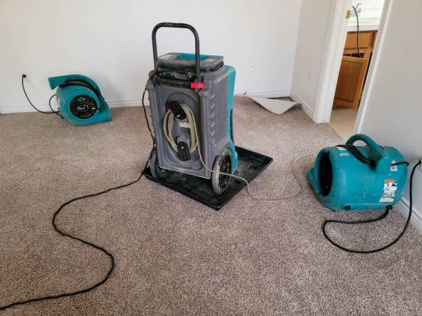 Best Mold removal after water damage  in Heathcote, NJ