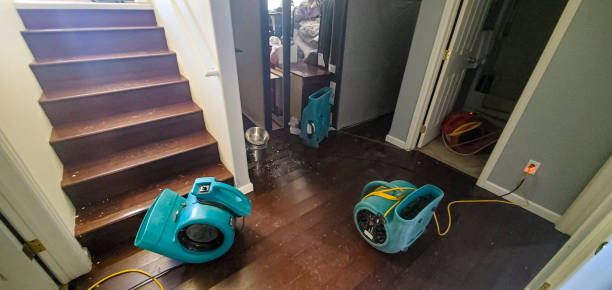 Best Carpet water damage restoration  in Heathcote, NJ