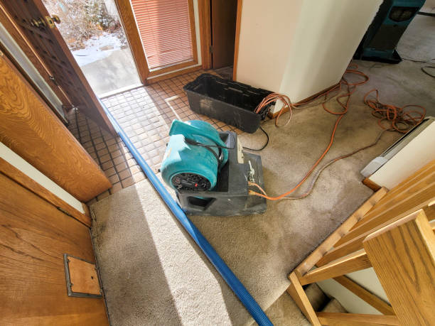 Best Flood damage cleanup  in Heathcote, NJ