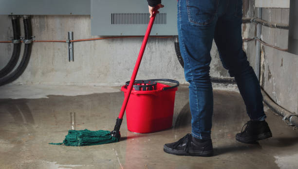 Best Ceiling water damage repair  in Heathcote, NJ