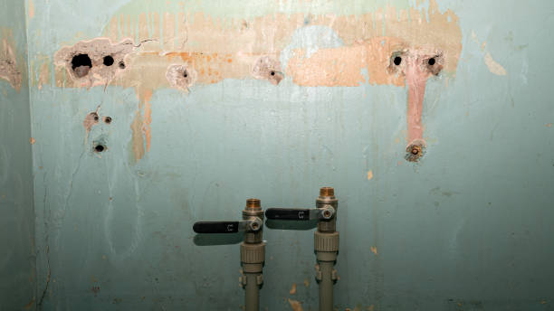 Best 24-hour water damage restoration  in Heathcote, NJ